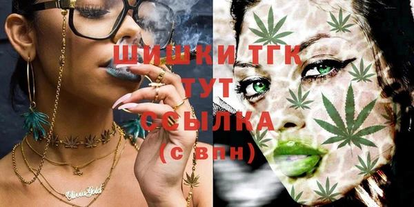 тгк Вязьма