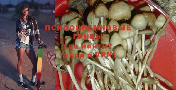 соль курить ск Вяземский