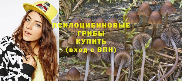 тгк Вязьма