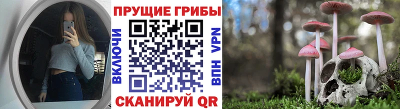 даркнет сайт Петровск-Забайкальский Псилоцибиновые грибы ЛСД